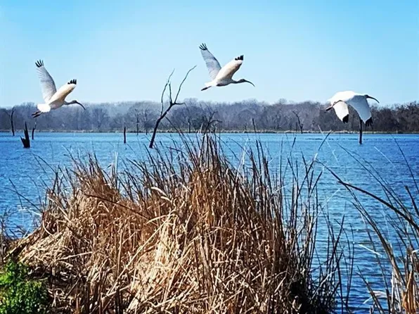 484 Conestoga Trl, Angleton, TX 77515