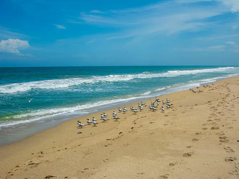 4800 Highway A1A #307 — Photo 41