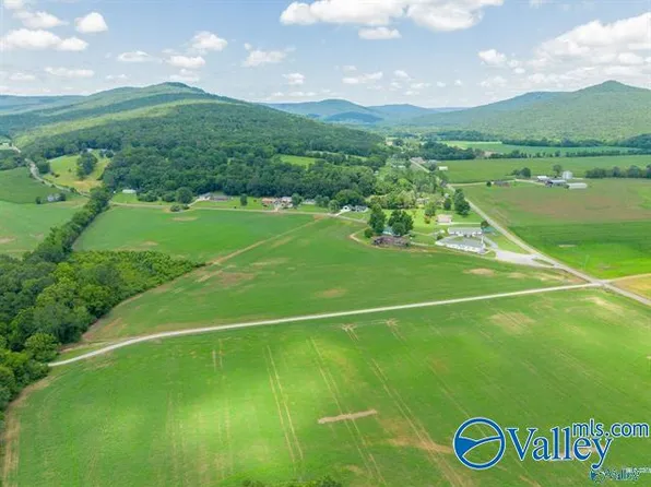 County Road 4, Hollytree, AL 35751