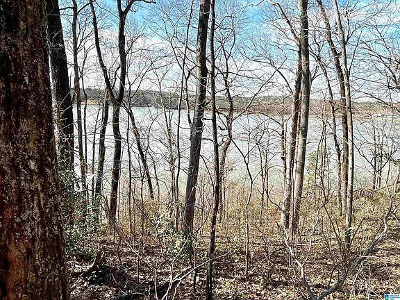 5th image of 0 River Terrace Dr Lot 13