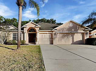 1432 Hurley Pond Ln, Valrico, FL 33596