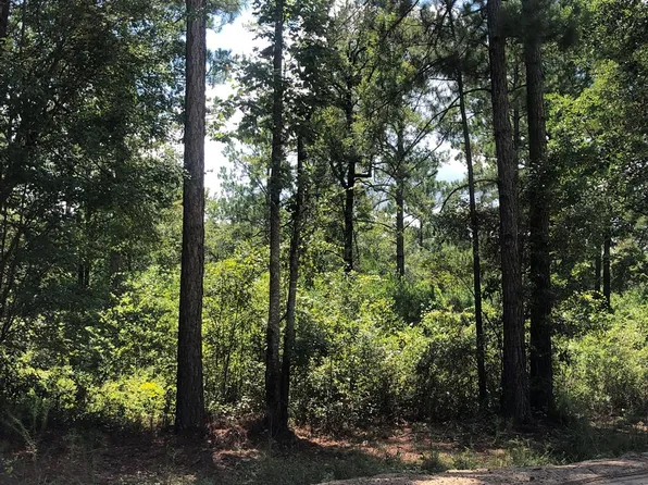 399 James Knight Rd, Jesup, GA 31545
