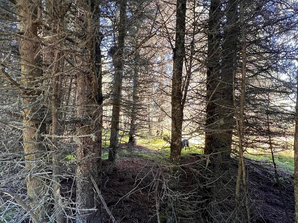 2nd image of L10 Shegota Loop