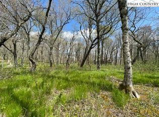 195 Green Cliffs Rd, Banner Elk, NC 28604