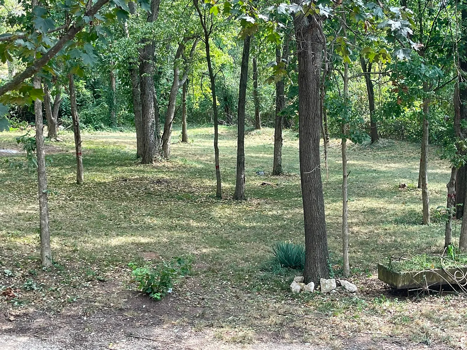 3 bed, $2,500 — Photo 4