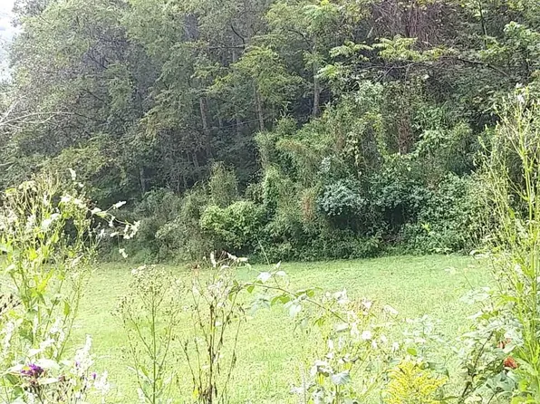 0 Onzie Stewart Rd, Arjay, KY 40902