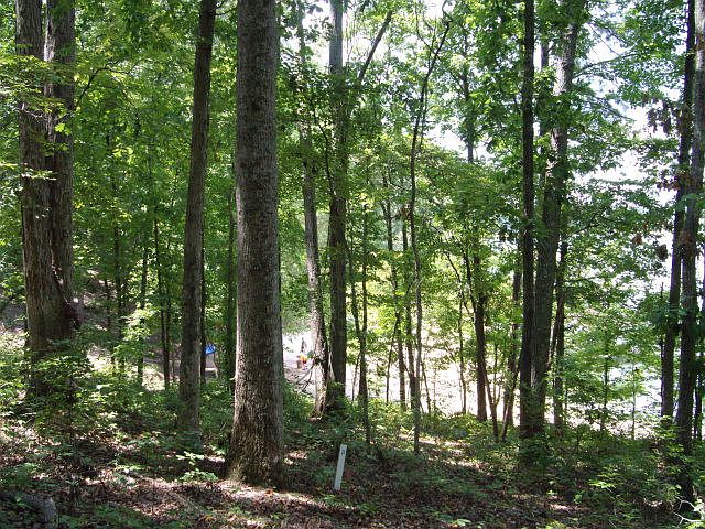 1st image of LOT 24 A Savannah Bay Drive