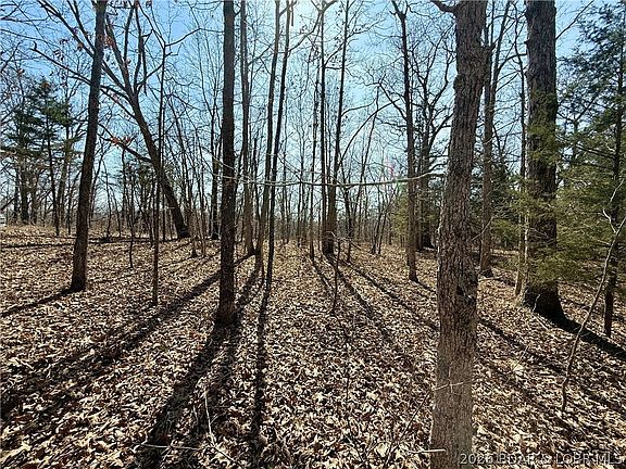3rd image of Shadey Rd