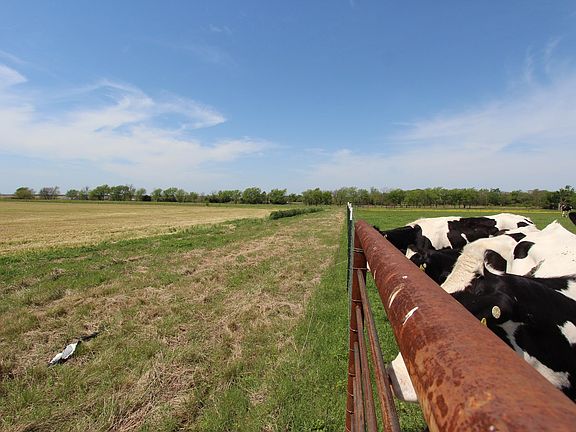 2nd image of 172 County Road 12650