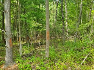 3811 Struble Rd, Endicott, NY 13760