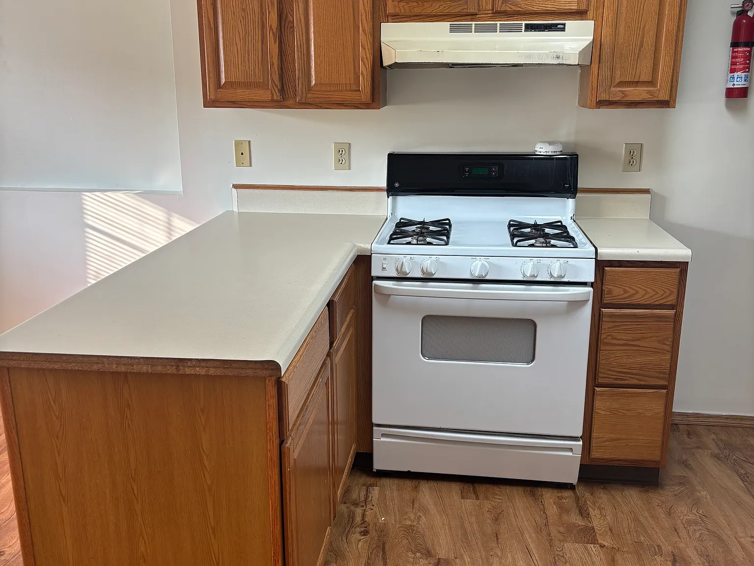 1225 Red Pine Way — Photo 3
