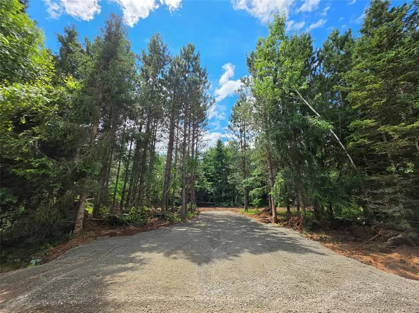 20 Acres Adams Road, Bruce, WI 54819