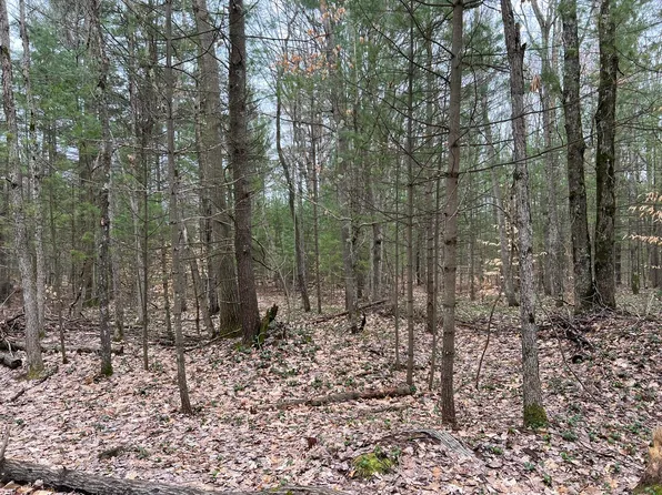 N Cherry Ln, Free Soil, MI 49411