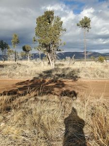 Itasca Dr, Timberon, NM, 88350