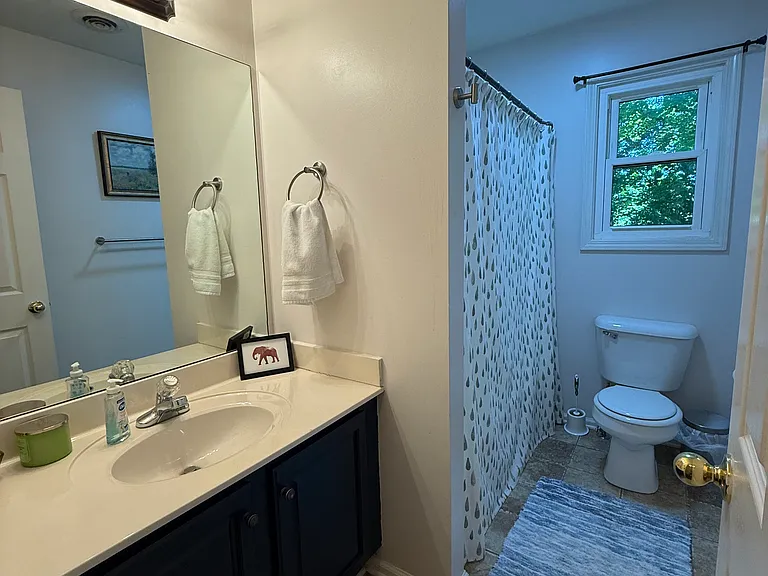 Guest Bath