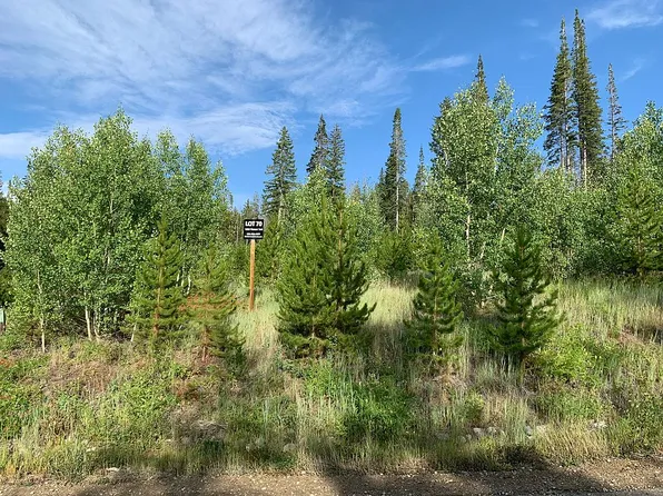 1600 Pioneer Trl, Fraser, CO 80442