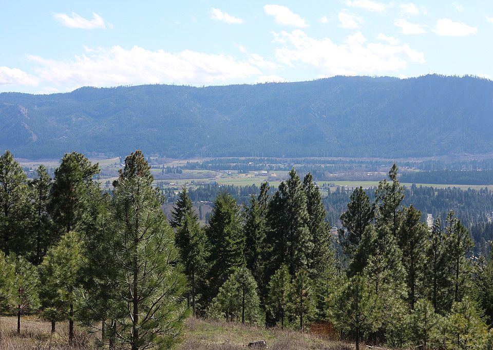 1st image of 451 Big Sky Vista Dr
