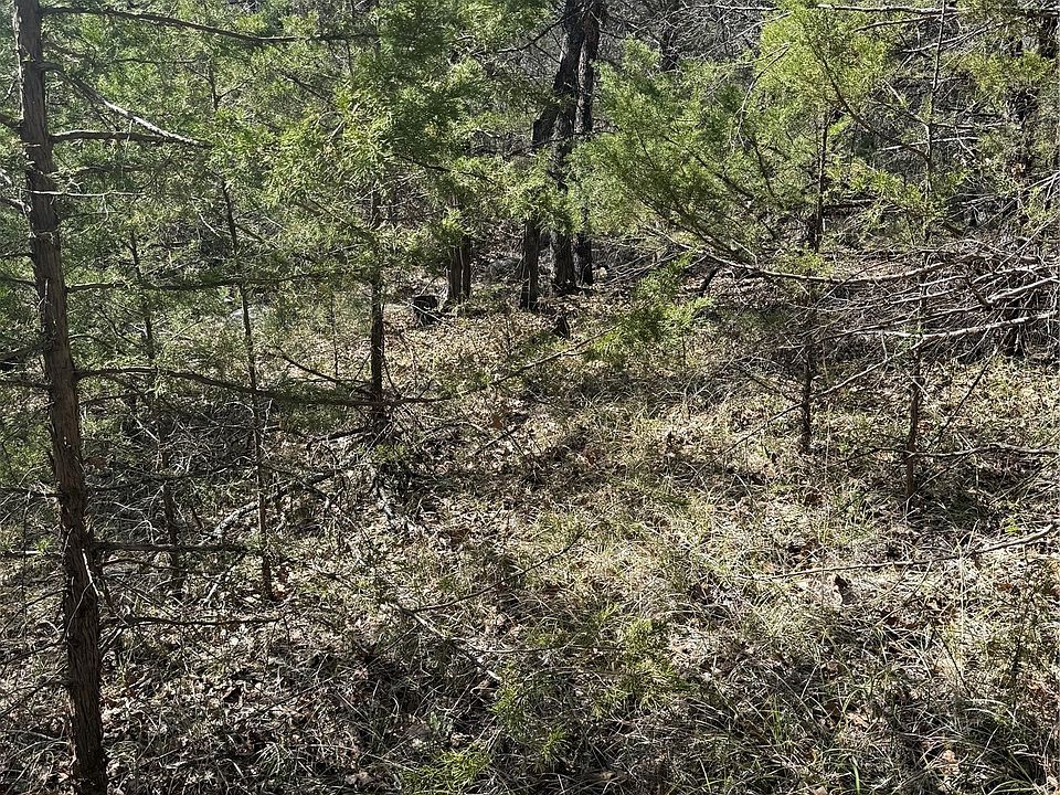 2nd image of Turtle Creek Trl