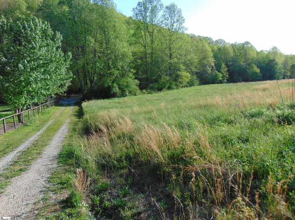 65 Quantums Way, Marietta, SC 29661