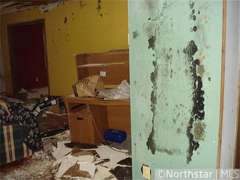 4th image of 1455 Carrie St