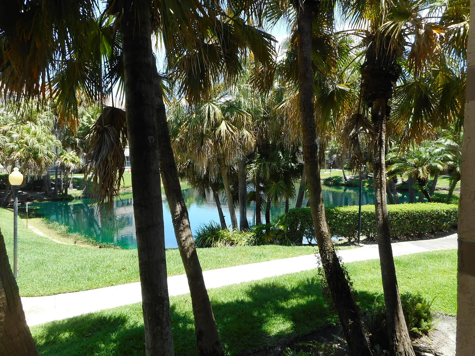 Sundance at Davie — Photo 2