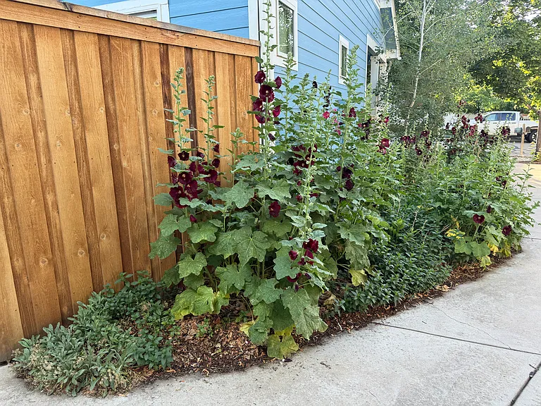 223 Maggie St #B — Photo 20