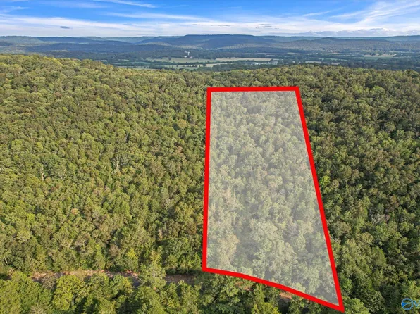 County Road 7, Woodville, AL 35776