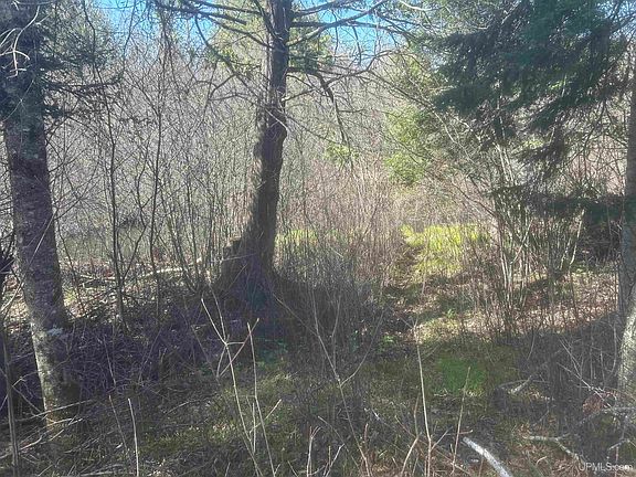 3rd image of Goodhall Rd
