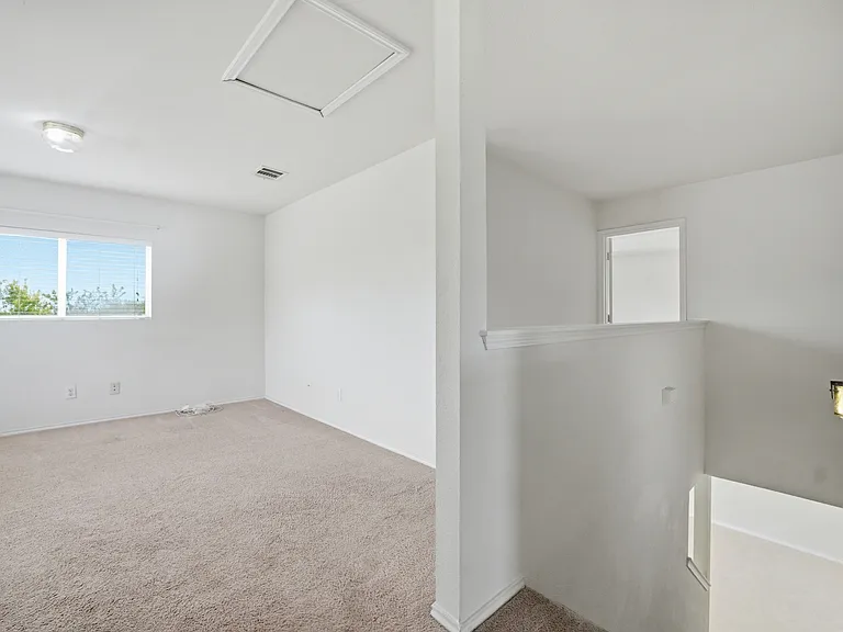 20526 Blue Trinity — Photo 14