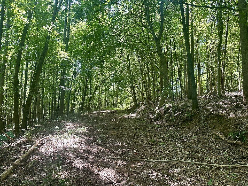 1st image of 7721 Wayland Springs Rd