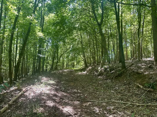 7721 Wayland Springs Rd, Iron City, TN 38463