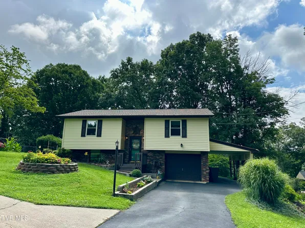 233 Lakeview Cir, Kingsport, TN 37663