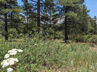90 Balfour Court, Pagosa Springs, CO 81147