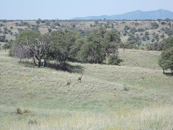 5th image of 0 Highway 83