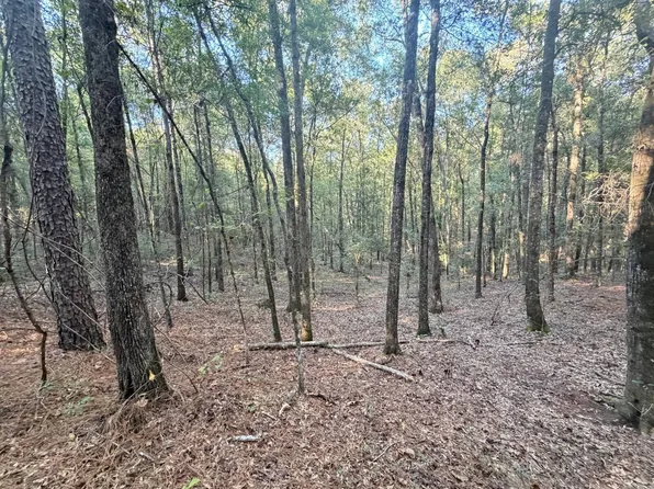 0 McLeod Rd, Goshen, AL 36035