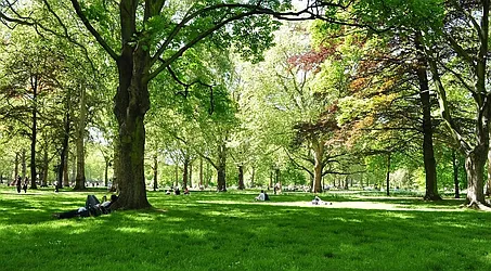 Rented by Bruma Realty LLC