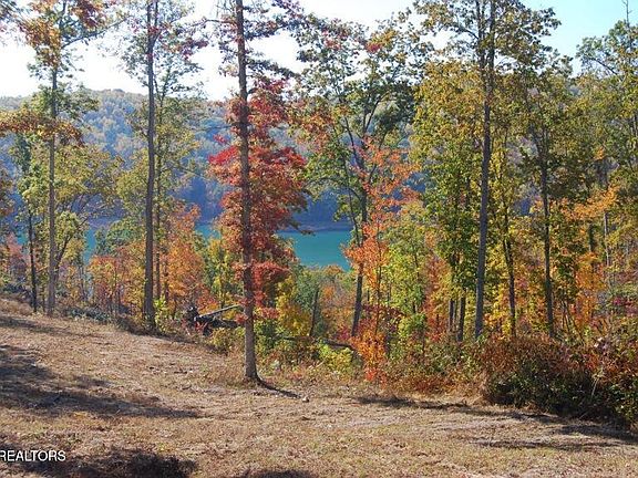 2nd image of Whitetail Ln