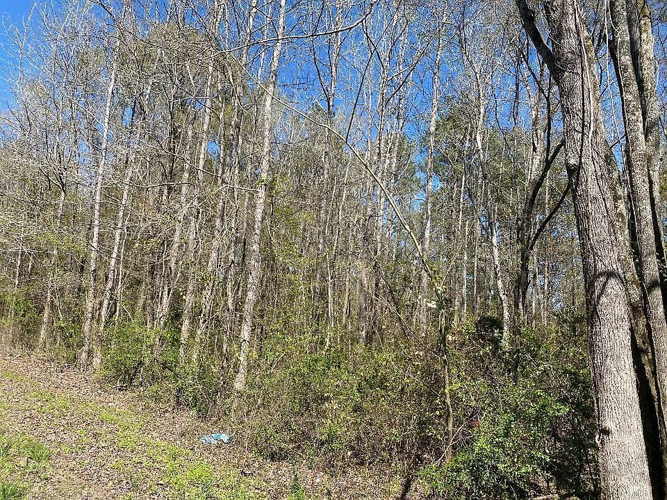 2nd image of Cedrum Rd