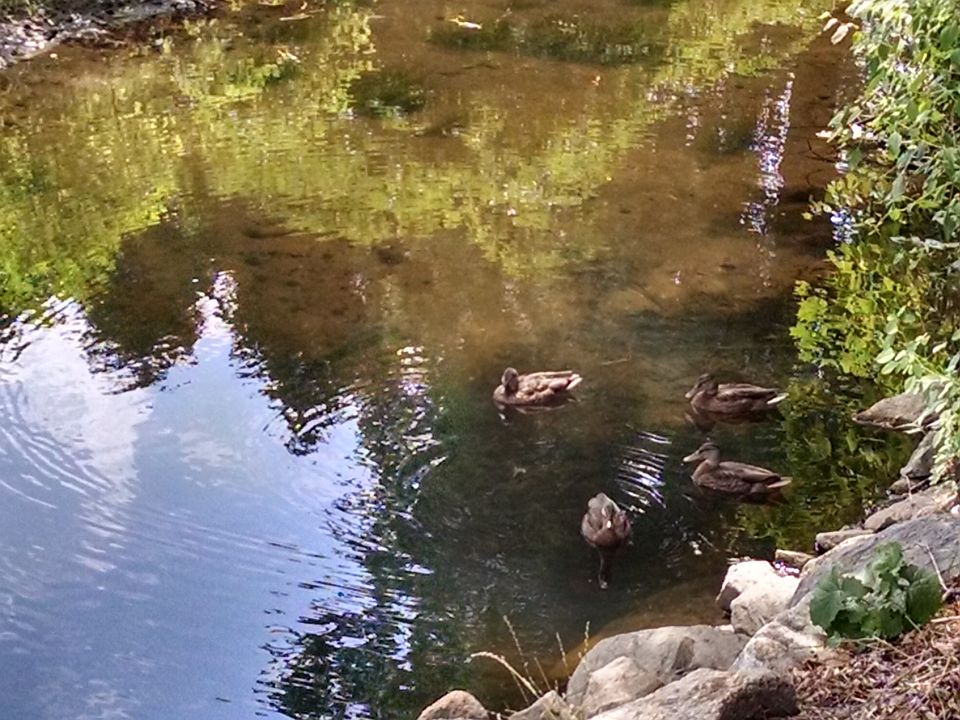 48 Pickering St, Danvers, MA 01923 Zillow