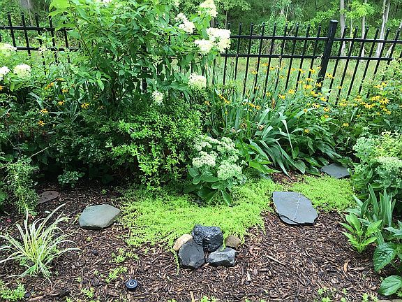 Gardens