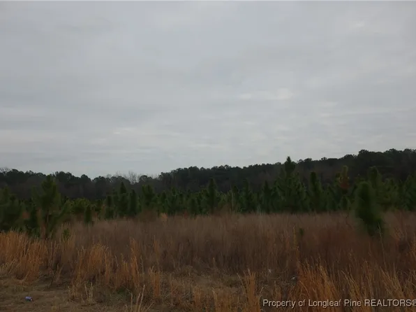 49 Stuarts Mill Rd, Fairmont, NC 28340