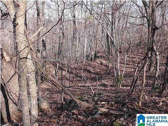 2nd image of 5620 S Shades Crest Rd #1