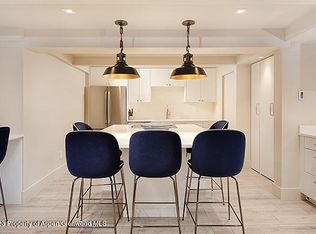 901 E Hyman Ave #2, Aspen, CO 81611