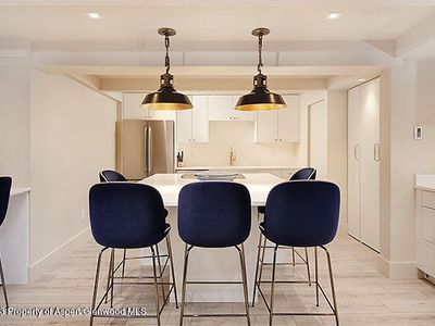 901 E Hyman Ave #2, Aspen, CO, 81611