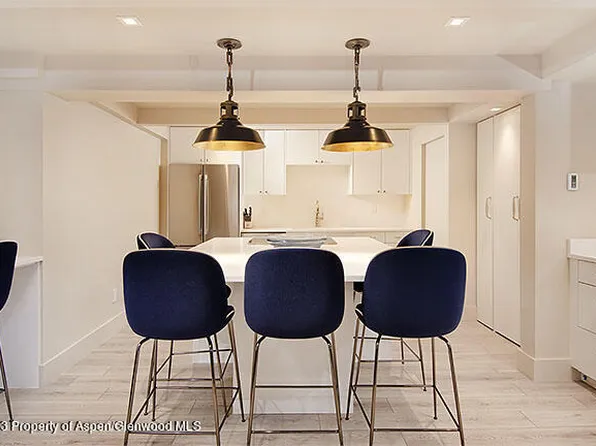 901 E Hyman Ave #2, Aspen, CO 81611