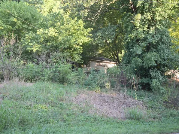 County Road 2, Riceville, TN 37370