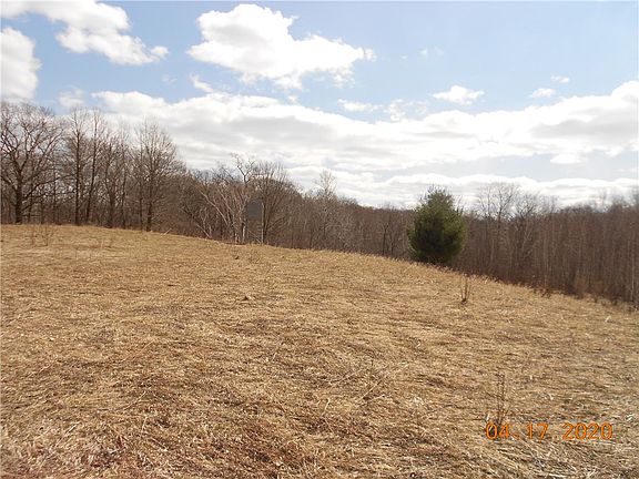 5th image of XXX County Rd W