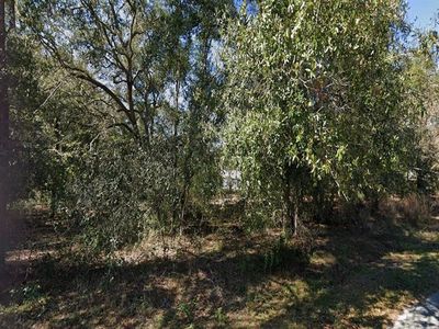 SE 81st Ter LOT 65, Summerfield, FL, 34491