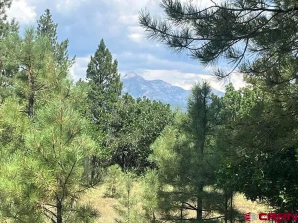 X County Road 600 B, Pagosa Springs, CO 81147
