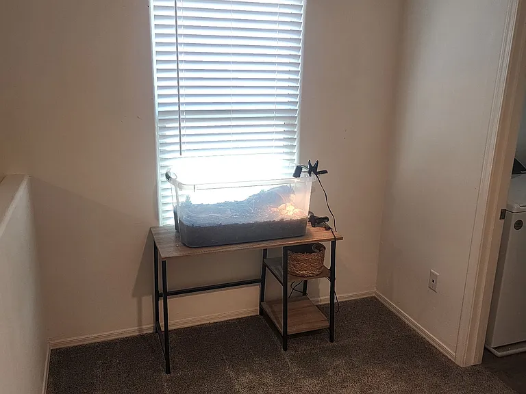 11924 E Chamrod Dr — Photo 22